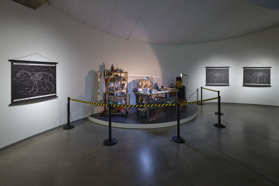 Installation image of Mark Dion: Excavations.