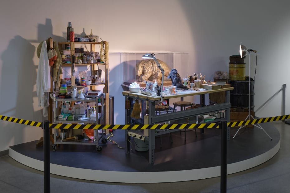 Installation image of Mark Dion: Excavations.