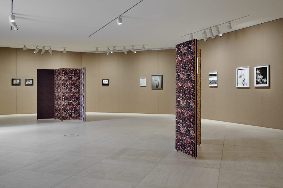Installation image of Lisa Oppenheim, Monsieur Steichen, 2025.