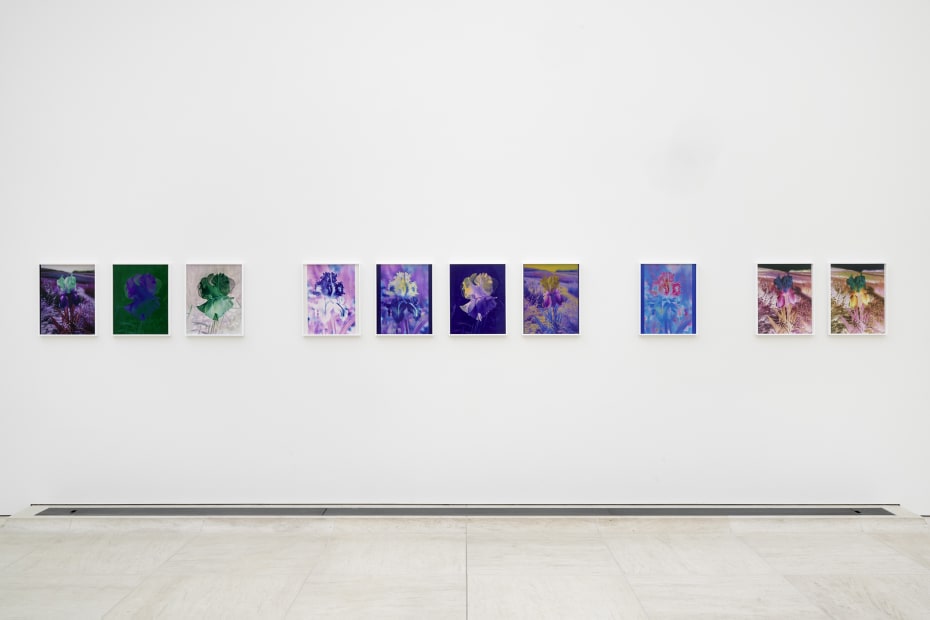 Installation image of Lisa Oppenheim, Monsieur Steichen, 2025.