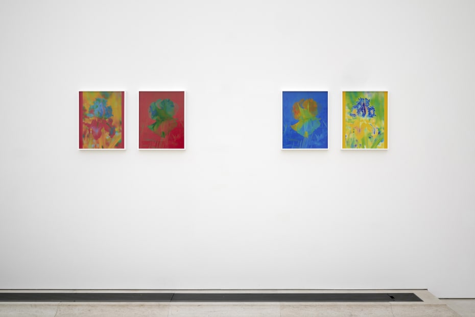 Installation image of Lisa Oppenheim, Monsieur Steichen, 2025.