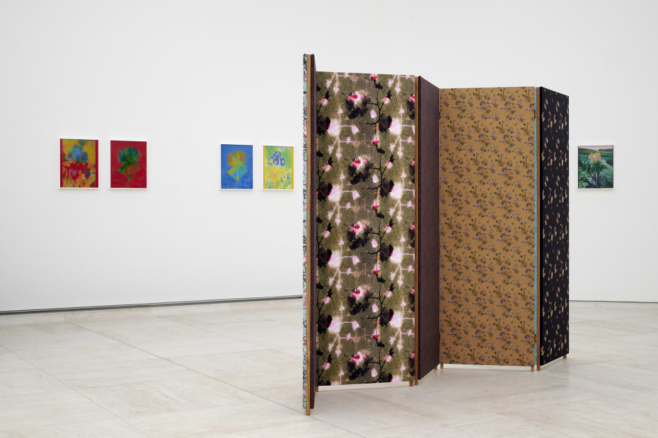 Installation image of Lisa Oppenheim, Monsieur Steichen, 2025.