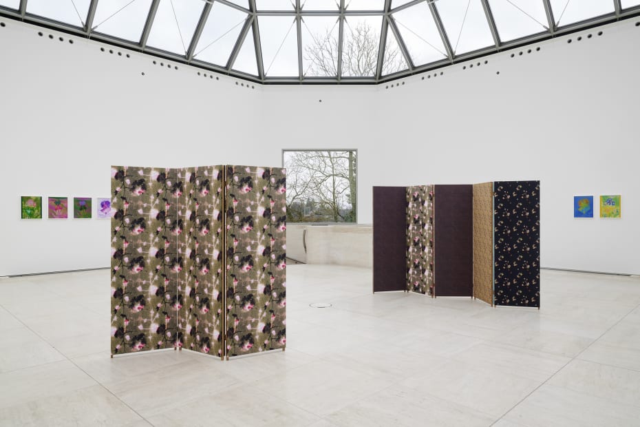 Installation image of Lisa Oppenheim, Monsieur Steichen, 2025.