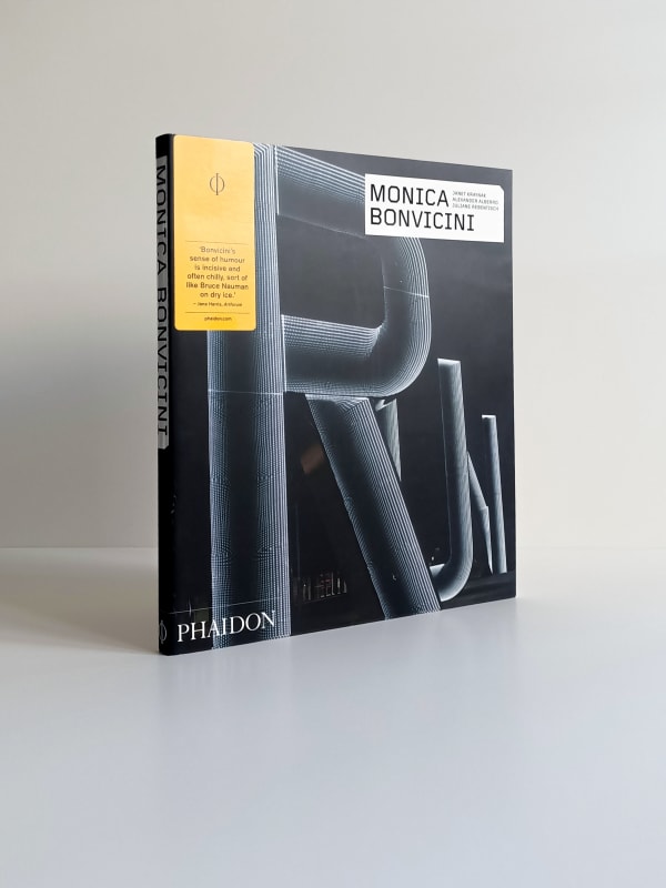 book cover image of Monica Bonvicini