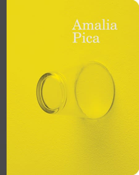Pica book cover