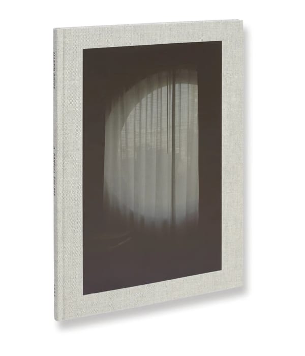 Book cover of A Partial Eclipse Martin Boyce