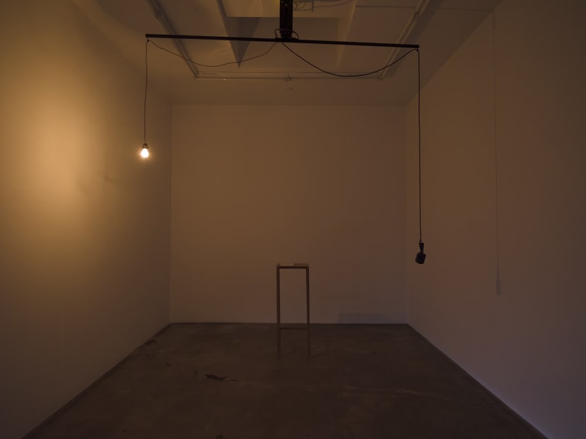 Gupta installation images from TBG LA.