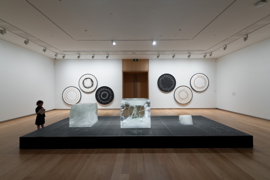Installation view: Olafur Eliasson: Your curious journey, Auckland Art Gallery Toi o Tāmaki, 2024