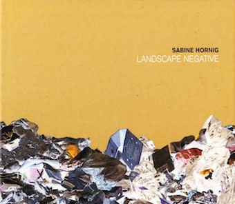 Exhibition catalogue cover. Negative photo of landfill trash on a yellow background. Title text: Sabine Hornig, Landscape Negative