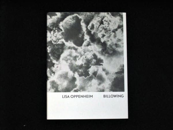 cover of book