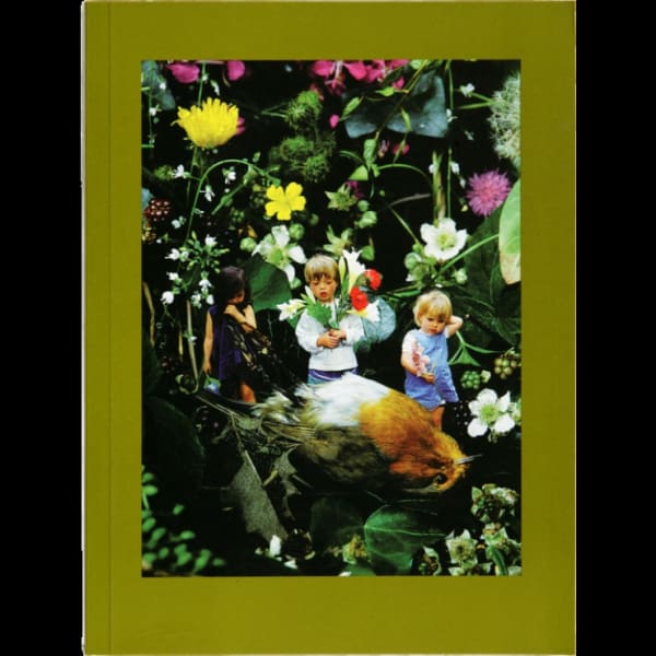 cover of Mat Collishaw book