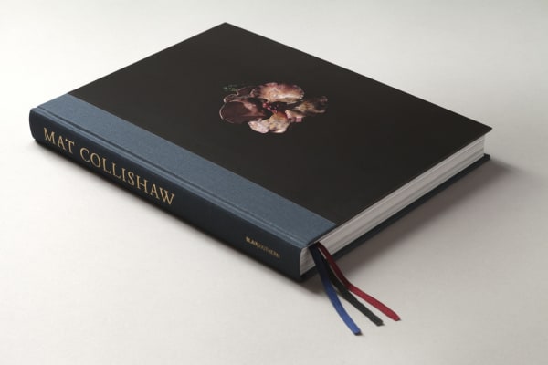 Book cover of Mat Collishaw