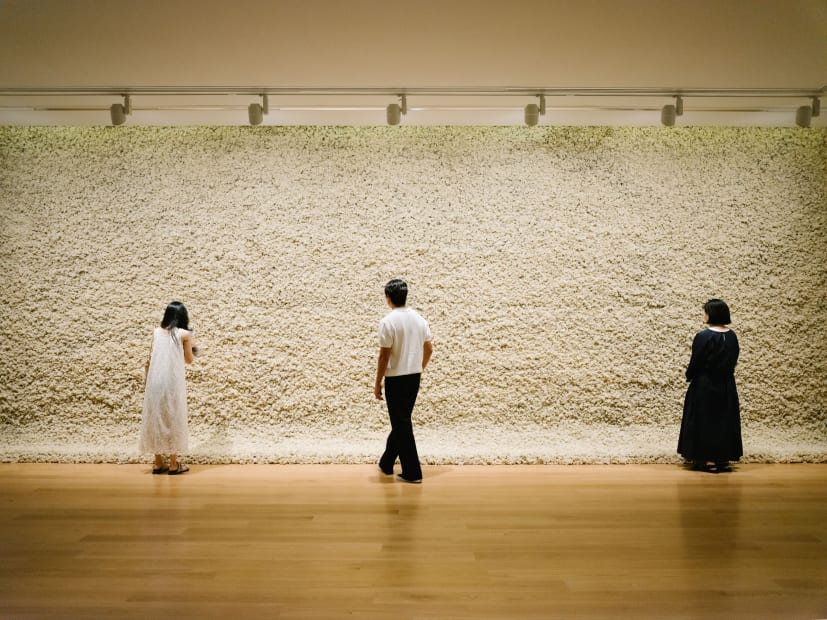 Installation view: Olafur Eliasson: Your curious journey, Auckland Art Gallery Toi o Tāmaki, 2024