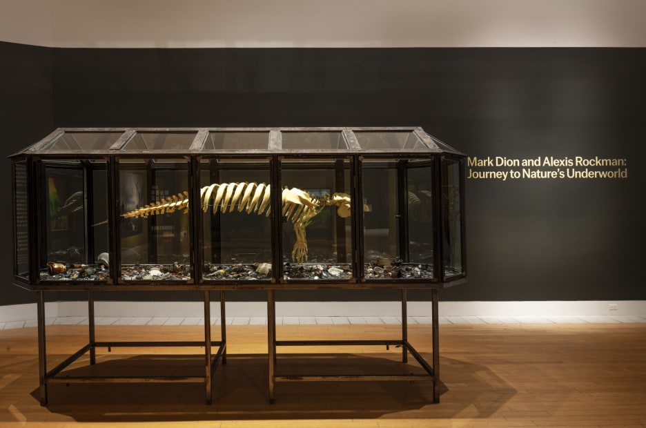 Installation of Mark Dion and Alexis Rockman: Journey to Nature's Underworld at the Lowe Art Museum, University of Miami.