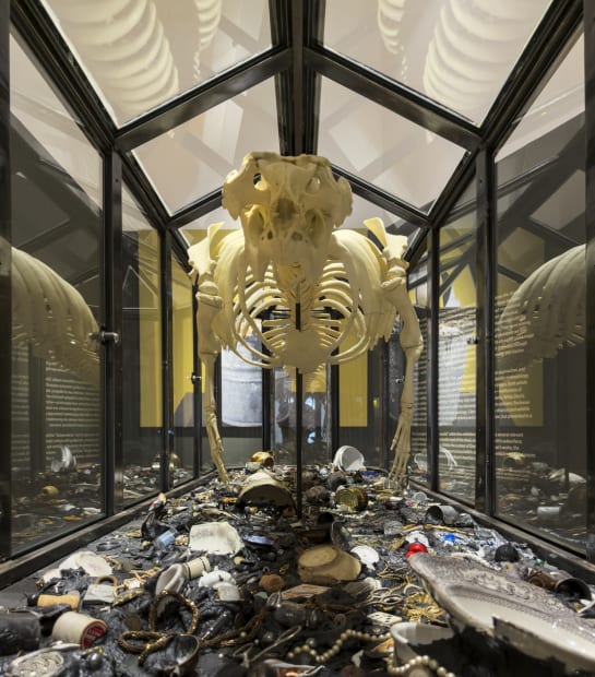 Installation of Mark Dion and Alexis Rockman: Journey to Nature's Underworld at the Lowe Art Museum, University of Miami.