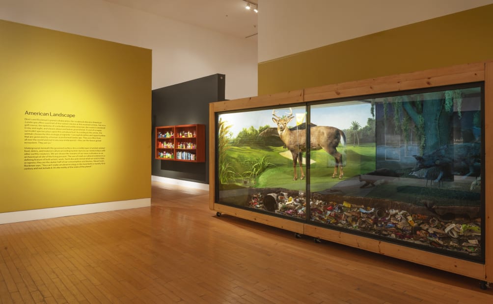 Installation of Mark Dion and Alexis Rockman: Journey to Nature's Underworld at the Lowe Art Museum, University of Miami.