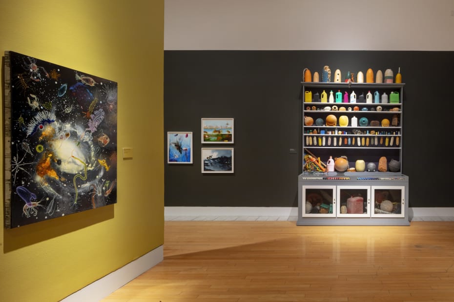 Installation of Mark Dion and Alexis Rockman: Journey to Nature's Underworld at the Lowe Art Museum, University of Miami.