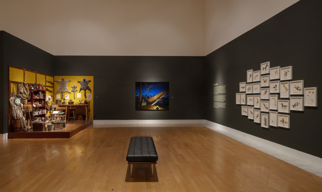 Installation of Mark Dion and Alexis Rockman: Journey to Nature's Underworld at the Lowe Art Museum, University of Miami.