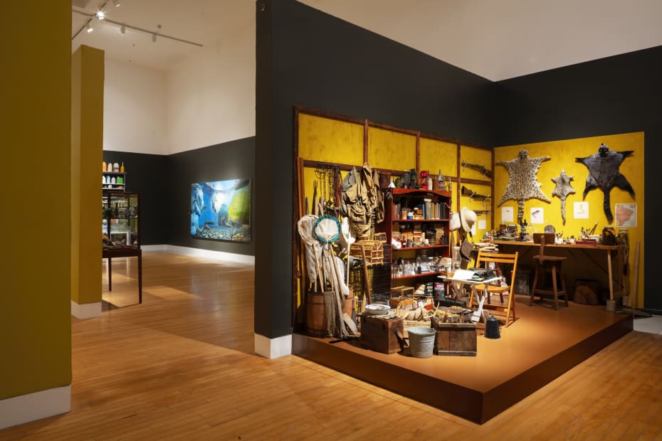 Installation of Mark Dion and Alexis Rockman: Journey to Nature's Underworld at the Lowe Art Museum, University of Miami.