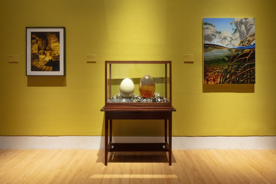 Installation of Mark Dion and Alexis Rockman: Journey to Nature's Underworld at the Lowe Art Museum, University of Miami.
