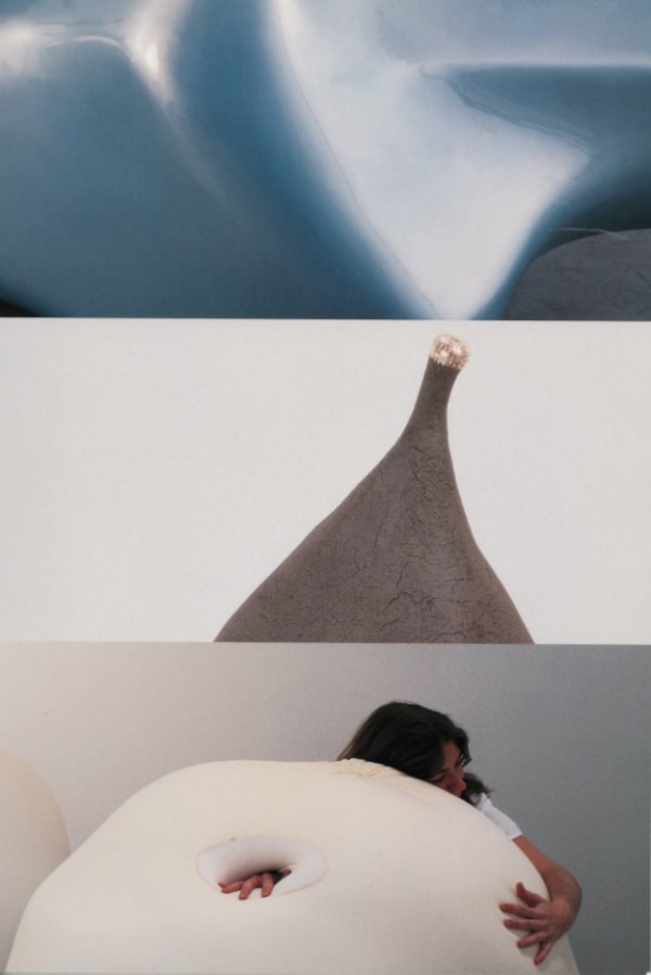 Image of book cover