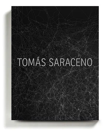 Book cover for How to Entangle the Universe in a Spider Web