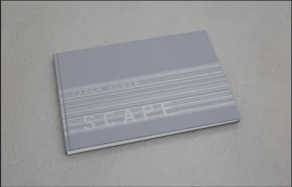 book cover of Carla Klein: Scape