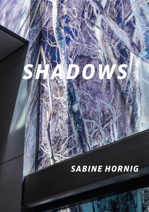 Book cover of Shadows by Sabine Hornig