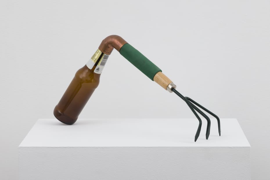 Catachresis #74 (Teeth of the rake, elbow of the pipe, neck of the bottle), 2016