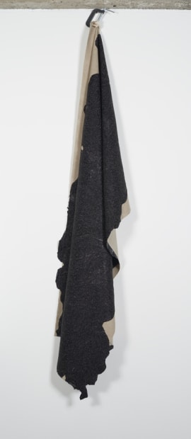 Paint Rag (Linen Canvas), 2015
