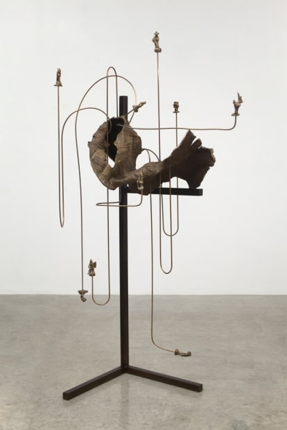 Quisquose, 2014