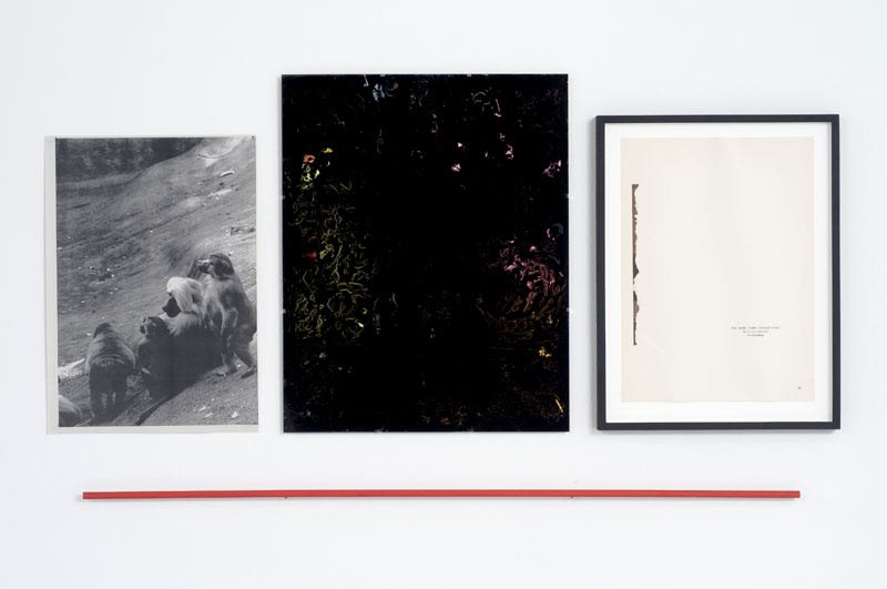 Untitled, 2008