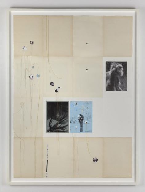 untitled, (Soft corps XXVII), 2012