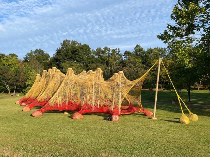 Slugbug, 2024