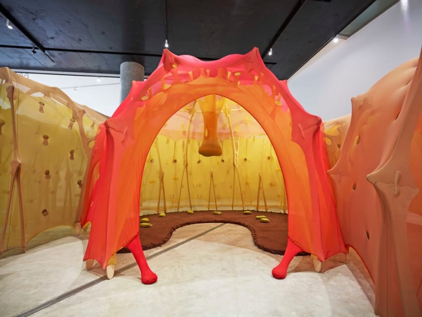 symbiointestubetime - the flavour happens in a state of being flavour flower womb domus, 2010