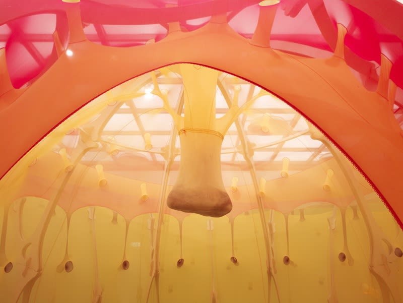 symbiointestubetime - the flavour happens in a state of being flavour flower womb domus [detail], 2010