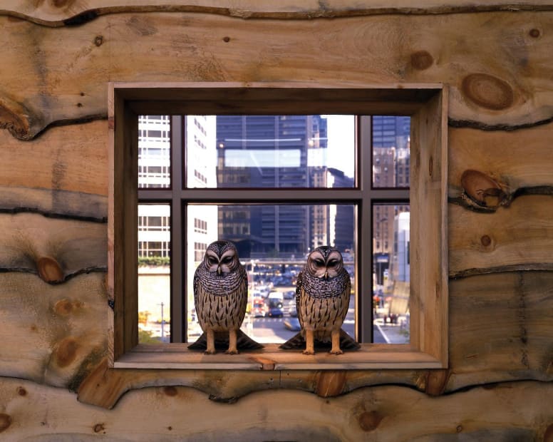 Display #23 - Adirondack tableau [detail], 1988