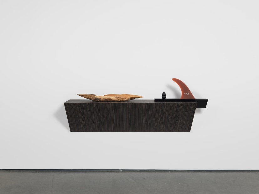 Untitled (bowl, dog chew, fin), 2016