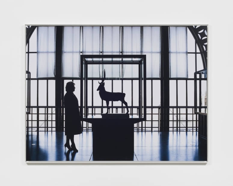 Geraldine and the stag, Paris, December 2016, 2016