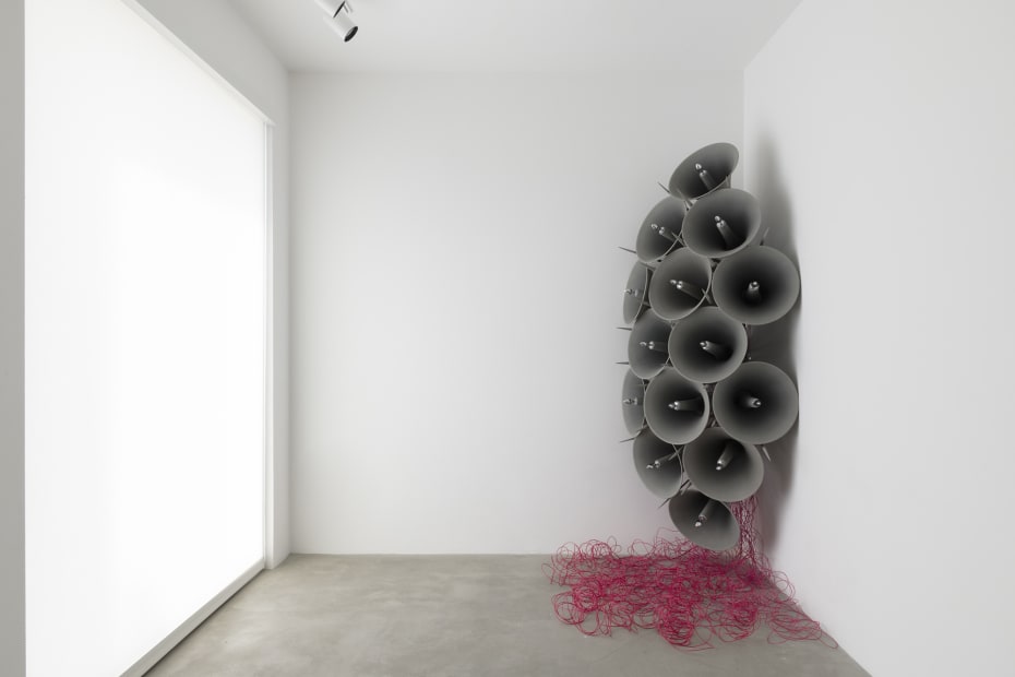 Í blóma (In bloom), 2019