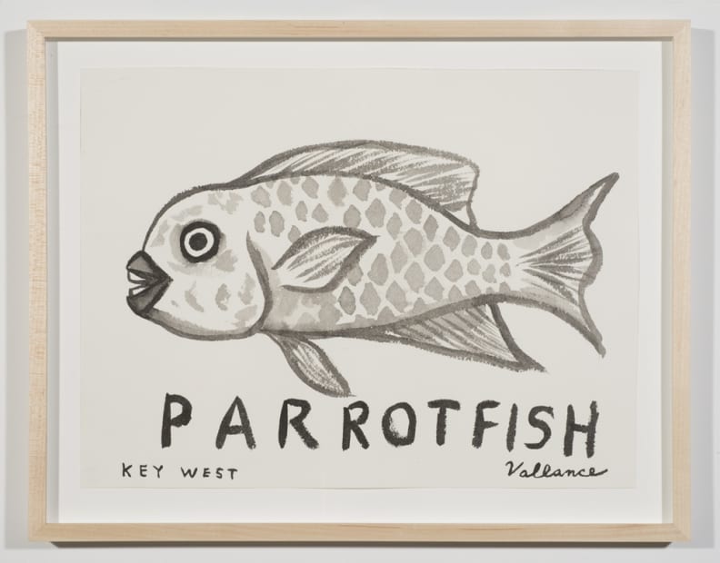 Key West Grinning Parrotfish, 2013