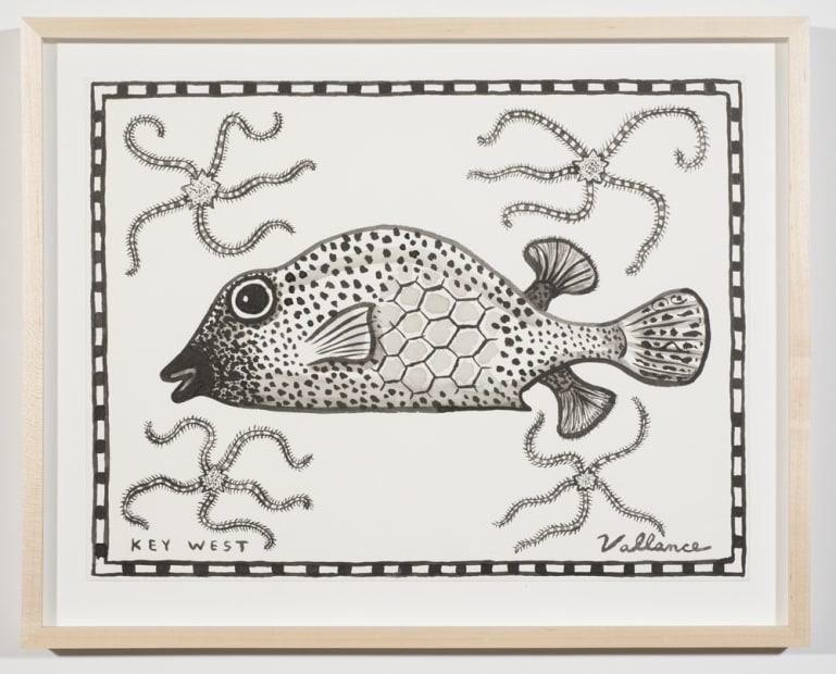 Key West Honeycomb Cowfish with Long-legged Starfish, 2013