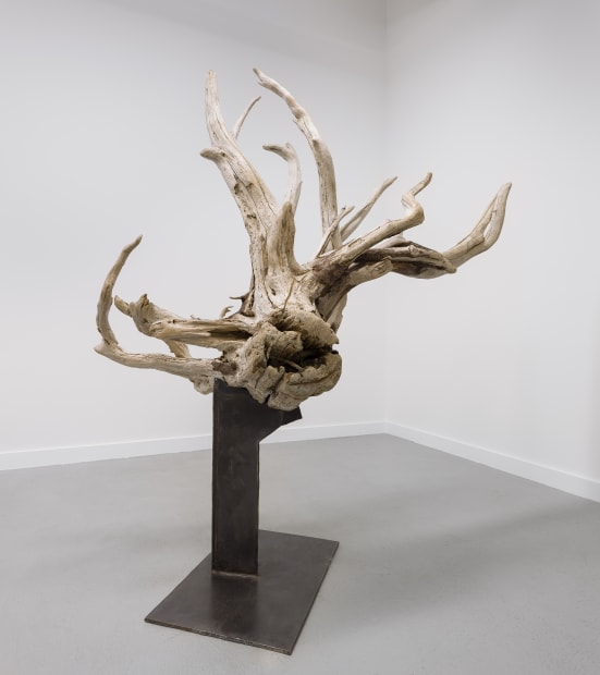 Trawl, 2015