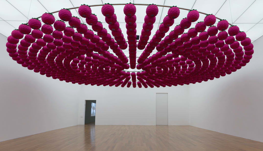 Lotus: Zone of Zero, 2017