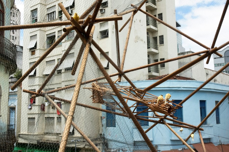 Flight, 2008