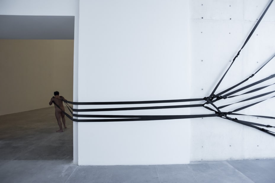 The Landscape Puller (M=f/ W=f), 1998/1999/2000/2013