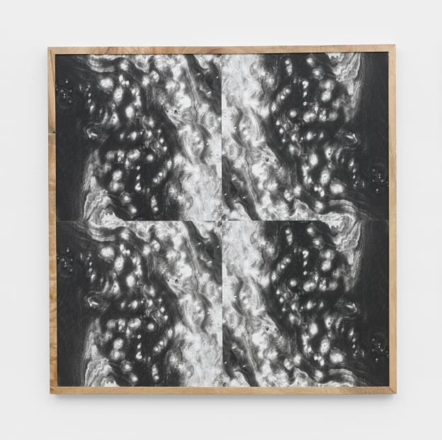 Landscape Portraits (Camphor) (Version IV) , 2020