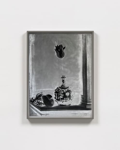 Stilleben: Still Life with a Tulip, 1637/2023, Version I, 2023