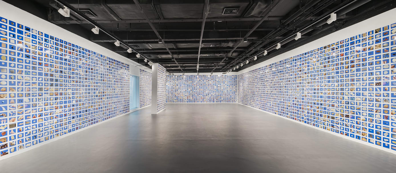 As Simple as Clay, 2013