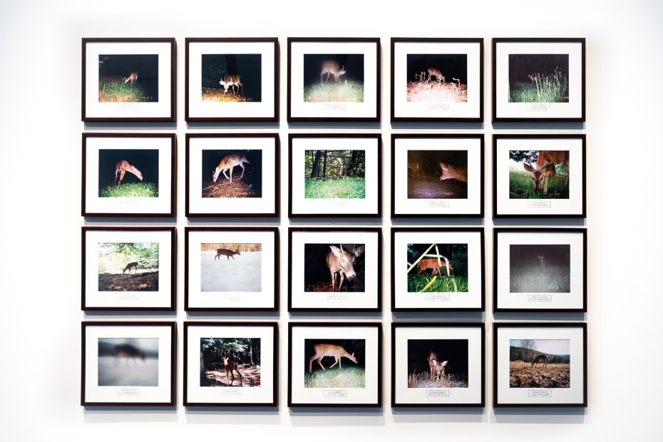 Bureau of Remote Wildlife Surveillance, 1999-2007